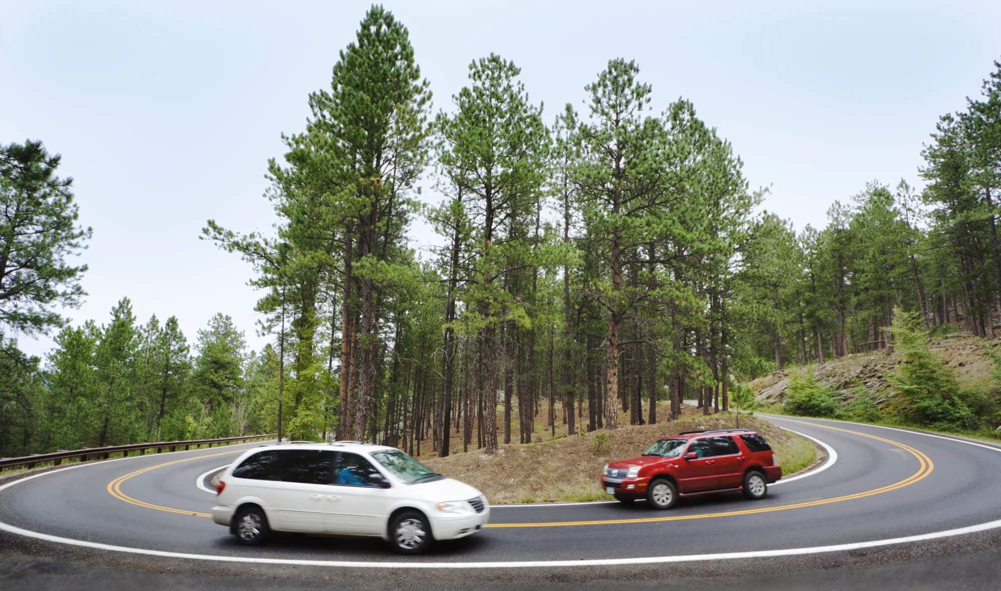 A white minivan and a red SUV pass each other on a hairpin curve of a pine-lined mountain road.